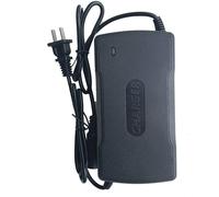 Thrive Elettrico Sedia a Rotelle Caricabatterie