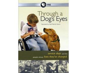 Through a Dog's Eyes