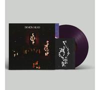 Through Holes Shine The Stars