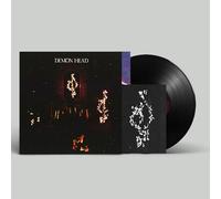 Demon Head Through Holes Shines the Stars (Vinyl LP) 12" Album