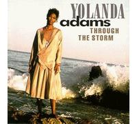 Through the Storm