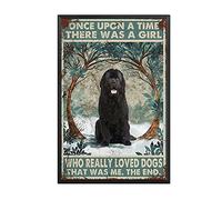 THUANCKY Targa in latta retrò "Once Upon A Time There was A Girl Who Really Loved Dogs That was Me", decorazione artistica da parete in alluminio, 20,3 x 30,5 cm, cornice in metallo