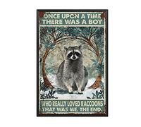 THUANCKY Targa in metallo retrò "Once Upon A Time There was A Boy Who Really Loved Raccoons That was Me", in metallo, divertente, 20 x 30 cm, cornice in metallo