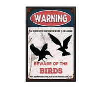 THUANCKY Targa in metallo vintage con scritta "Beware of the Birds", cartello di avvertimento per casa, bar, caffè, decorazione da parete retrò, 20 x 30 cm, cornice in metallo