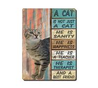 THUANCKY Targa in metallo vintage con scritta in inglese "A Cat is Not Just A Cat and A Best Friend Garage Man Cave Bar Kitchen Nostalgic Retro Sign Decor 30,5 x 40,6 cm