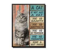 THUANCKY Targa in metallo vintage con scritta in inglese "A Cat is Not Just A Cat and A Best Friend", per garage, casa, bar, fattoria, decorazione da parete per bagno, 30,5 x 40,6 cm, con cornice in