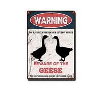 THUANCKY Targa in metallo vintage con scritta in lingua inglese "Beware of the ocheese", per casa, bar, caffè, decorazione da parete retrò, 20 x 30 cm