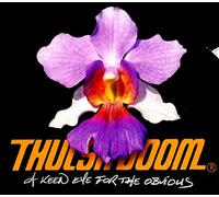 THULSA DOOM - A KEEN EYE FOR THE OBVIOU