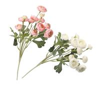 THUN Ranuncolo bianco-rosa