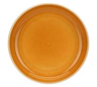 Thun Rose&Tulipani - Piatto Fondo color Zucca in gres, diametro 25 cm, collezione Arpeggio