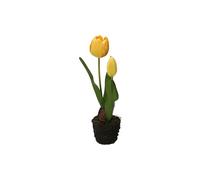 THUN Tulipano giallo S, Piccolo