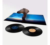 Thunder All the Right Noises (Vinyl LP) 12" Album