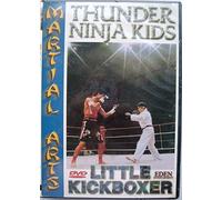 Thunder Ninja Kids:Little Kick - Thunder Ninja Kids: Little Kick