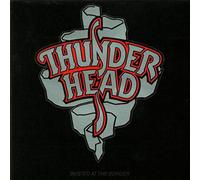 Thunderhead - Busted at the border