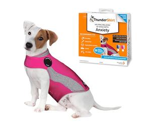 Thundershirt, Polo per Cani