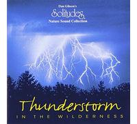 Thunderstorm in the Wilderness by Dan Gibson (2002-04-23)