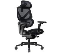 ThunderX3 FLEX Pro Gaming Stuhl ergonomisch - Mesh schwarz (TEGC-3076101.12)