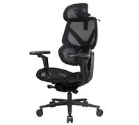 ThunderX3 Sedia ergonomica Flex Pro Mesh (Nero) - Nouvo