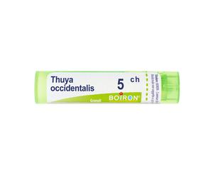 Thuya Occidentalis 5Ch 4 g Granuli