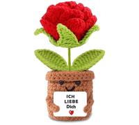 Ti amo regali per donne e uomini, regalo per coppia, regalo per partner, anniversario di matrimonio, anniversario per lui, serie di patate positive (rose rosse)