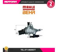TI14283 Termostato, Refrigerante (MARCA-BEHR)