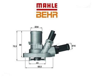 TI14988 Termostato, Refrigerante (MARCA-BEHR)