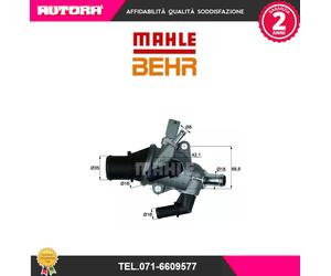 TI15883 Termostato, Refrigerante (BEHR)