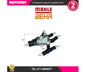 TI16288 Termostato, Refrigerante (BEHR)