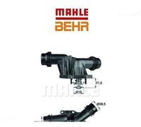 TI2585 Termostato, Refrigerante (BEHR)