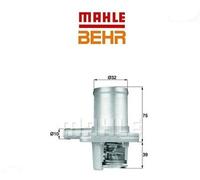 TI4089 Termostato, Refrigerante (BEHR)
