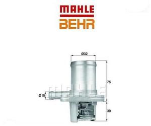 TI4089 Termostato, Refrigerante (BEHR)