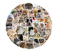 TIANQUXNGI Confezione da 50 adesivi colorati con gatti e animali, per skateboard e computer portatile, per adolescenti, bambini, adulti