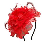 TIANQUXNGI Elegante fascia fascinator in rete con piume, per cocktail, feste, matrimoni ed eventi speciali, accessori per costumi