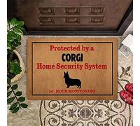 TIANTURNM Zerbino ingresso casa zerbino corgi protetto da sistema di sicurezza domestica corgi zerbino hobby lobby zerbino regalo di famiglia decorazioni mobili 16"x24"