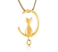 TIANZXS Collana di urna di Gioielli per cremazione per Animali Domestici per Ceneri Ciondolo commemorativo Portaceneri Gioielli per Ceneri per Gatto Oro