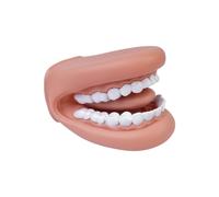Tiardey Modello di Denti Modello di Denti per l'insegnamento dello spazzolamento Modello di Bocca allargata per lezioni e insegnamento Modello di Indossare a Mano per l'aula degli Studenti