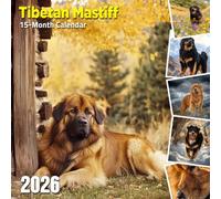 Tibetan Mastiff 2026 Calendar: Majestic mountain dogs in serene snowy scenes