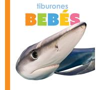 Tiburones bebés/ Baby Sharks