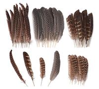 Ticeed Piume Decorative Lunghe Piume, 40 Pezzi Piume Naturali Piume Fai da Te decorative per Artigianato Accessori per Decorazioni Feste, 4 Dimensioni