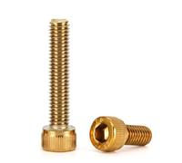 Tiene le cose dentro Vite a testa esagonale incassata in acciaio inossidabile 304 da 2/5/10 pezzi Adatto a molti luoghi(Golden,20MM_M5 10PCS)