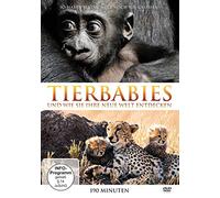 Tierbabies - Und wie sie ihre neue Welt entdecken