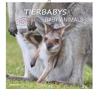 Tierbabys 2026 - Broschürenkalender 30x30 cm (30x60 geöffnet) - Kalender mit Platz für Notizen - Baby Animals - Bildkalender - Wandplaner - Alpha Edition: Baby Animals