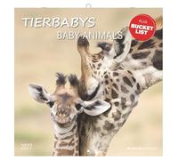 Tierbabys 2027: Baby Animals