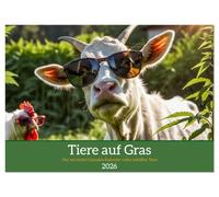 Tiere auf Gras - Der verrückte Cannabis-Kalender voller bekiffter Tiere (Wandkalender 2026 DIN A4 quer), CALVENDO Monatskalender: Lustige Kiffer-Tiere ... Humor und chilligen Motiven fürs ganze Jahr.