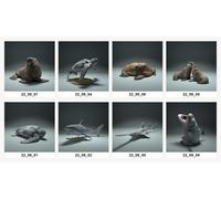 Tiere Dei Mari Global 1:24 Set 8 Figure Animali Non Verniciate Diorama