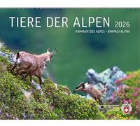 Tiere der Alpen 2026