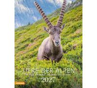 Tiere der Alpen. Kalender 2027
