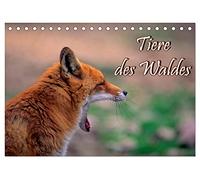 Tiere des Waldes (Tischkalender 2026 DIN A5 quer), CALVENDO Monatskalender: Naturkalender mit 13 Tiermotiven