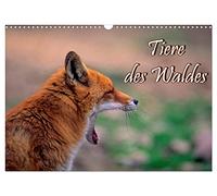 Tiere des Waldes (Wandkalender 2026 DIN A3 quer), CALVENDO Monatskalender: Naturkalender mit 13 Tiermotiven