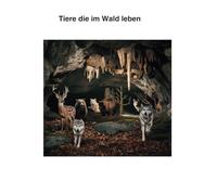 Tiere die im Wald leben: Malbuch
